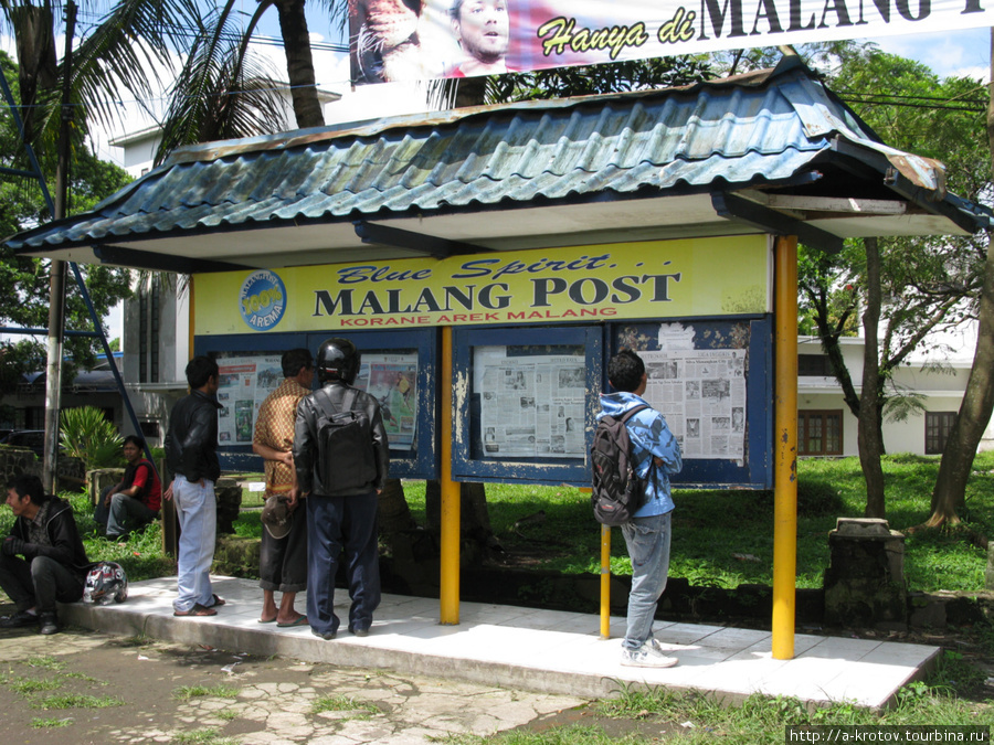 Читают свежие новости. (Обо мне, наверное) Маланг, Индонезия