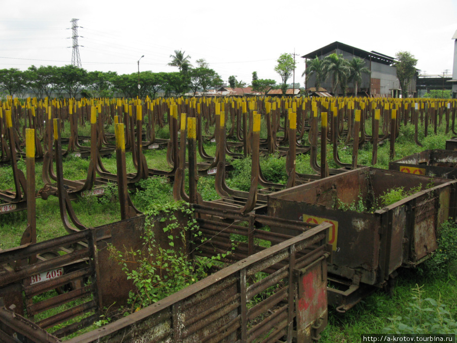 Очень много вагонов для сахарного тростника Маланг, Индонезия