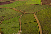 На спуске, с высоты можно наблюдать завораживающие пейзажи с орнаментами из рисовых полей, вписанных в ландшафт.