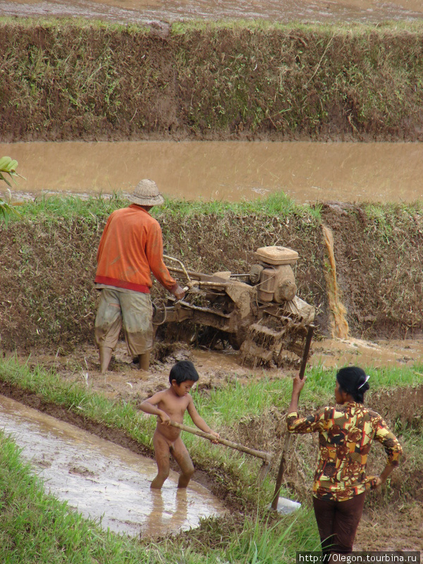 Тяжёлая работа всей семьёй Бали, Индонезия