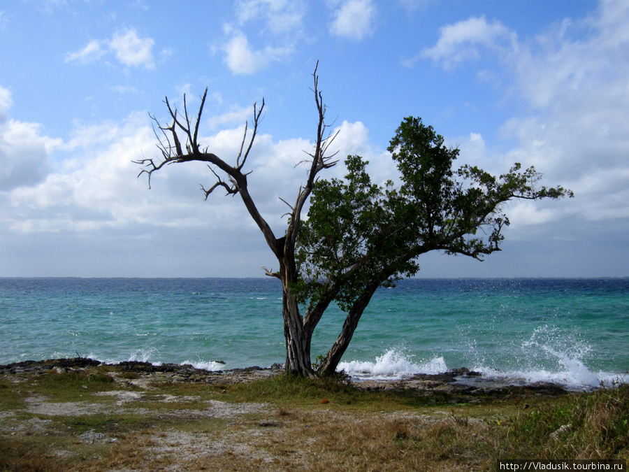В окрестностях залива Свиней Плайя-Хирон, Куба