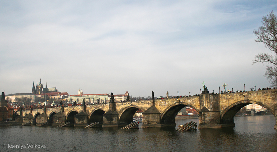 Влтава, Карлов мост и его обитатели Прага, Чехия