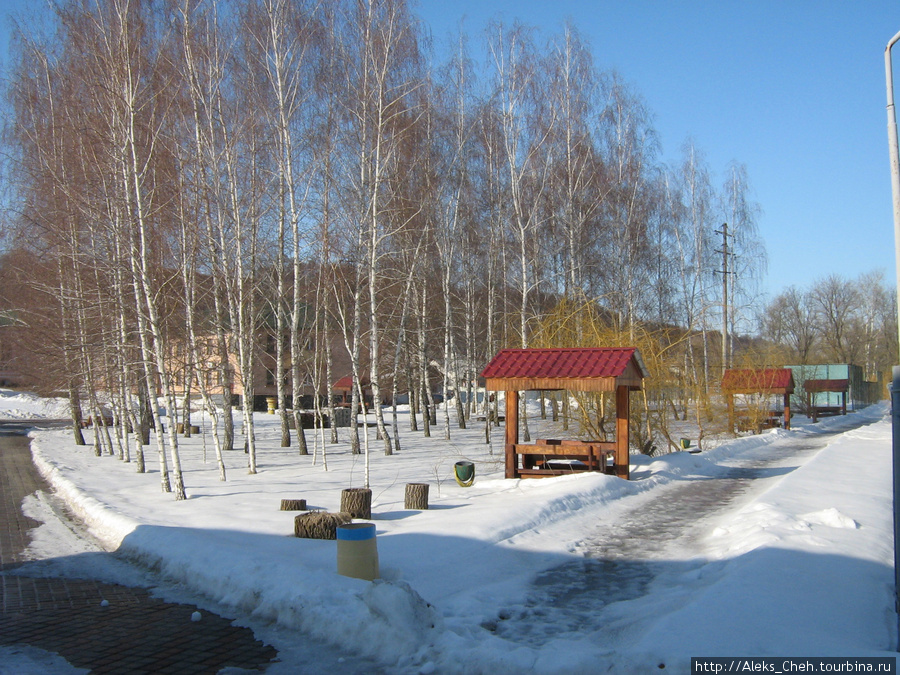 Зимние этюды весенней Багачки Великая Багачка, Украина