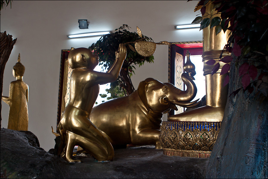 Животные тут везде — они даже Будде молятся Бангкок, Таиланд