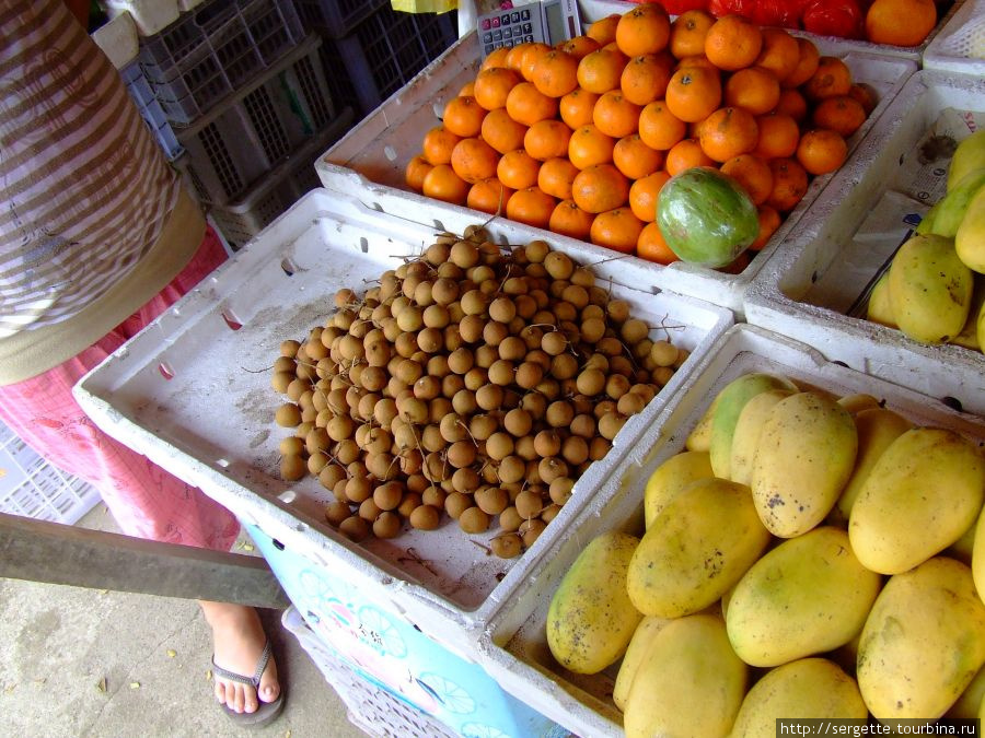 Манго, ланган, мандарины Филиппины