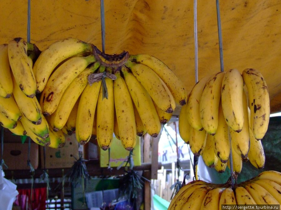 2. Бананов ужас как много Филиппины