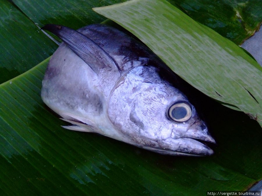Всевозможная рыба на рынке Филиппины