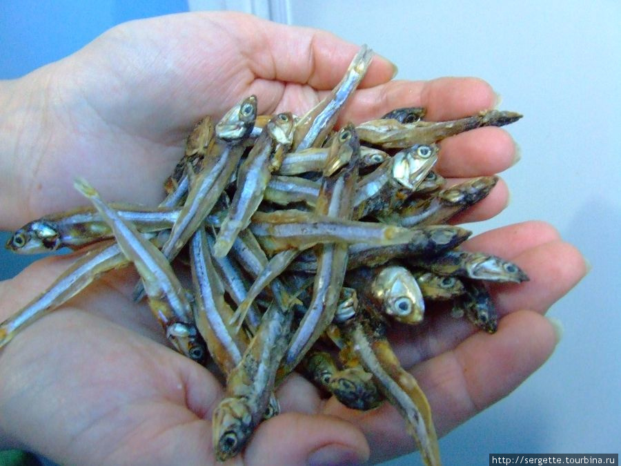 Рыба есть еще мельче, считается деликатесом Филиппины