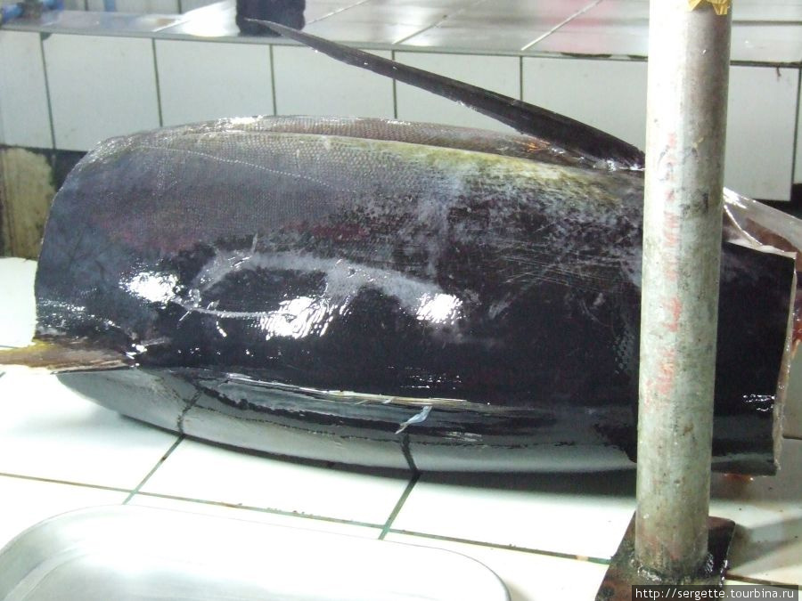 Кусок тунца. длиной был сантиметров 70. Представляю его целиком Филиппины