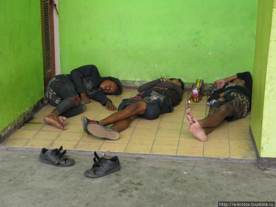 Бродячие бомж-музыканты обнаружены спящими в стадионе Маланг, Индонезия