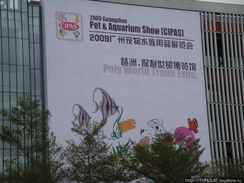 Реклама нашей выставки Гуанчжоу, Китай