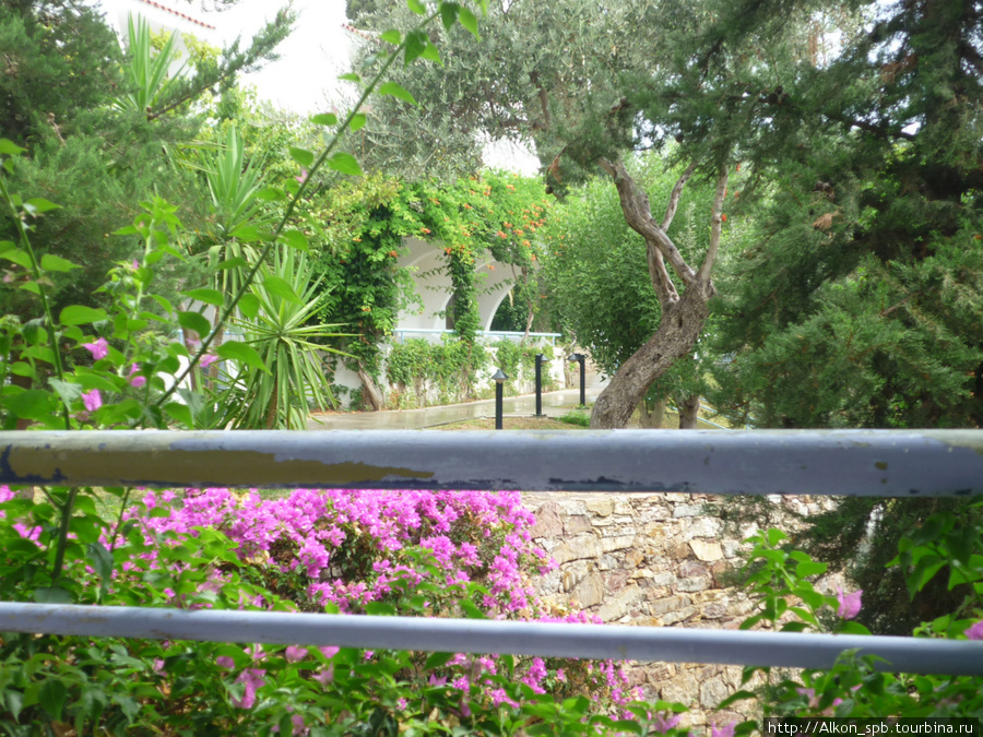 Вид из номера Фалираки, остров Родос, Греция