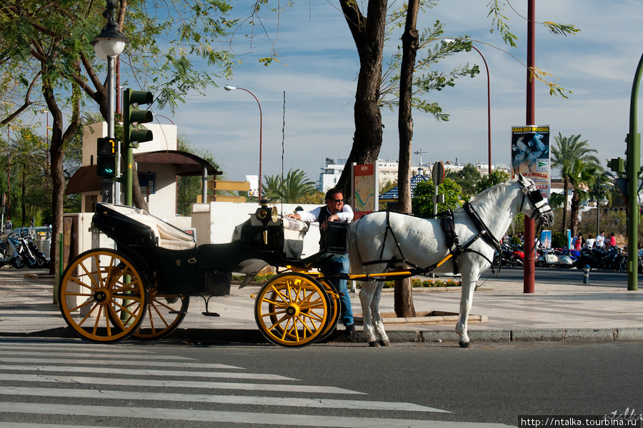 Севилья, ч.1 - прогулка по городу Севилья, Испания
