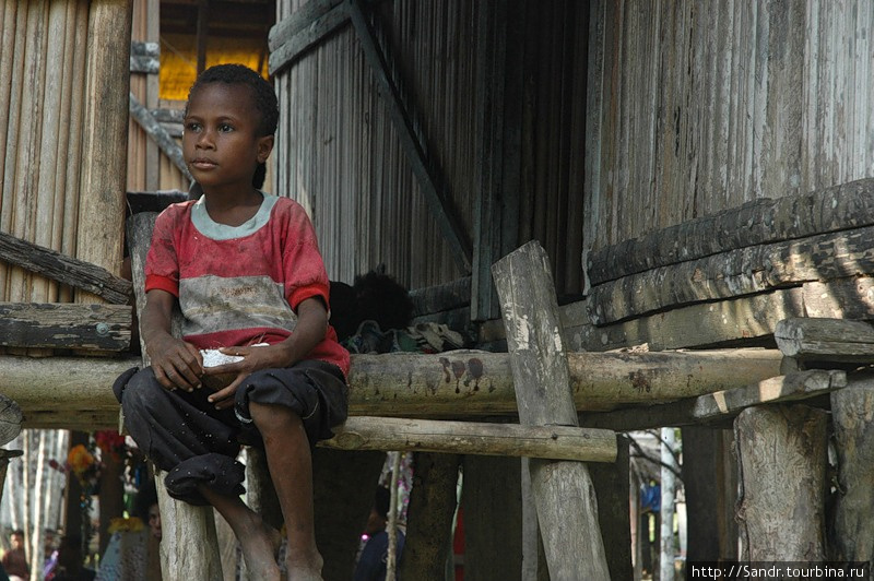 Жертвы цунами Провинция Сандаун, Папуа-Новая Гвинея