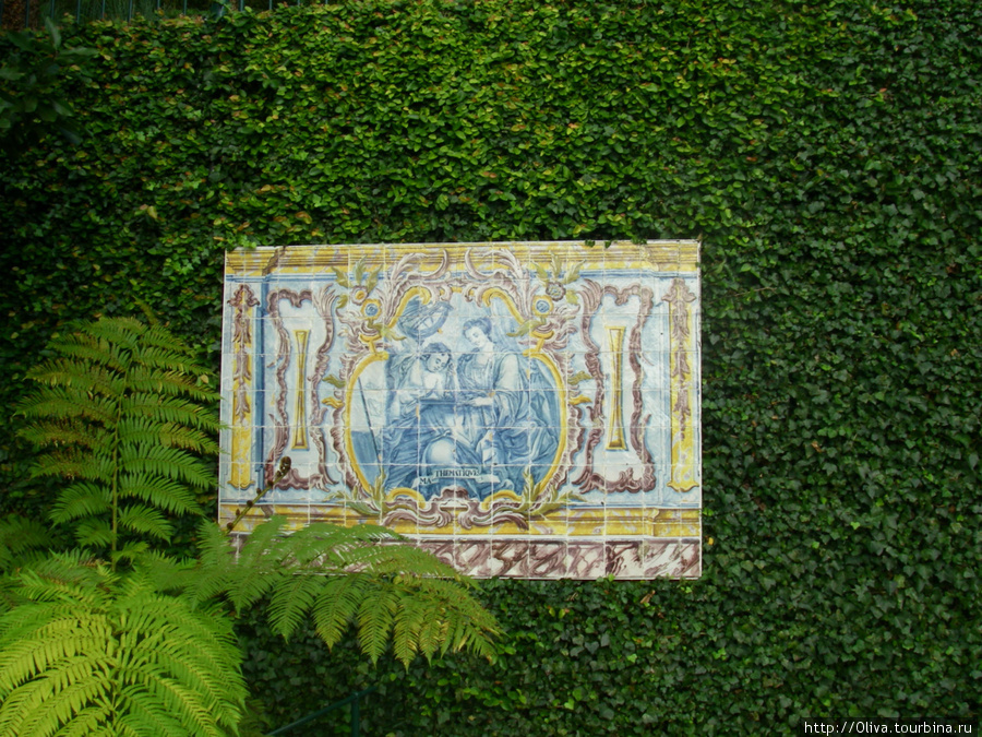 В саду Императора... Регион Мадейра, Португалия
