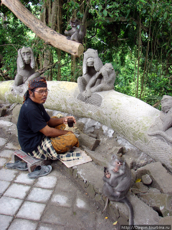 Царство обезьян Убуд, Индонезия