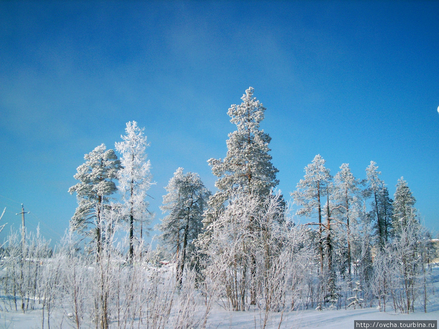 Снег. Кругом снег. Усинск, Россия