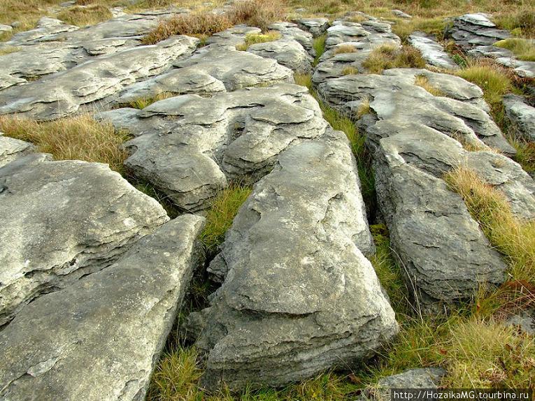 Каменные поля Килларни, Ирландия