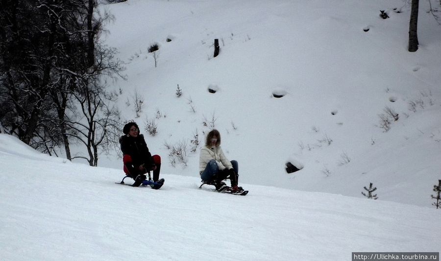 Взрослые веселятся,а дети приезжают на неделю сдавать нормы по лыжам, вместо уроков физкультуры! Класс! Нам бы так! Бакуриани, Грузия