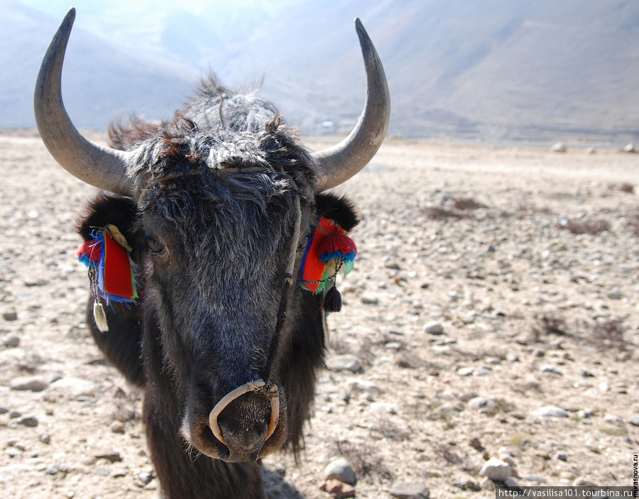 Тибет, тур Катманду - Лхаса, дни 1-2