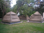 Палатки стоят как грибы после дождя
