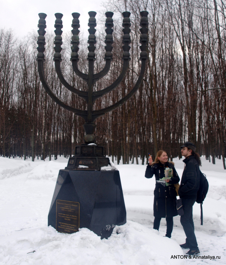 На меноре рядом с синагогой надо было посчитать сумму всех цифр Москва, Россия