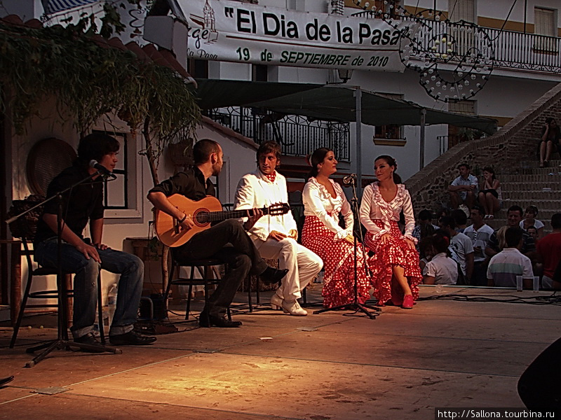 фламенко Малага, Испания