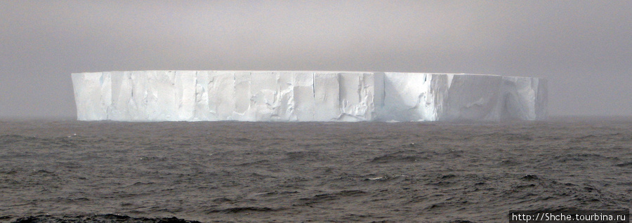 После прохода пролива Дрейка встретился первый айсберг. Антарктида близко... Антарктида