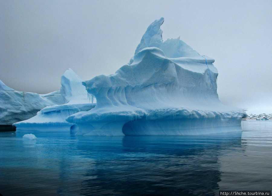 Здесь айсберги садятся на мель и медленно погибают. Антарктида