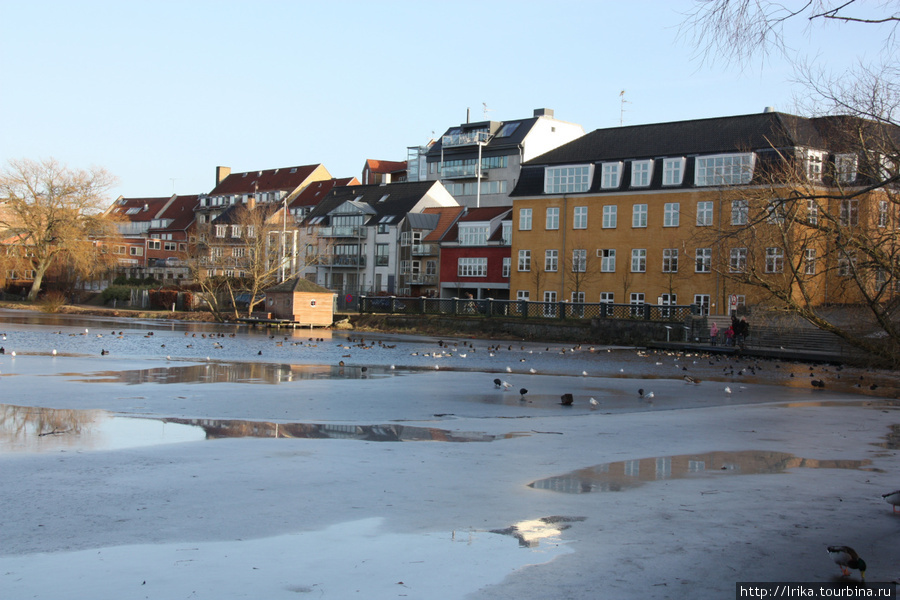 Утиный город Хиллерёд, Дания