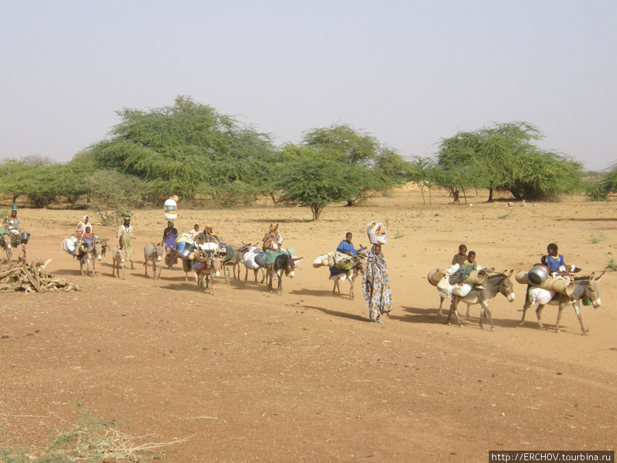 Здесь и далее народность фульбе. Область Тимбукту, Мали