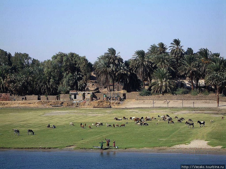 Круиз по Нилу Египет