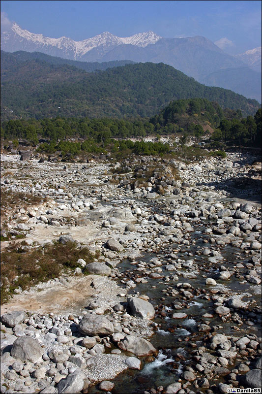 Большинство камней на фотке как минимум в человеческий рост. Большая речка :) Дхарамсала, Индия