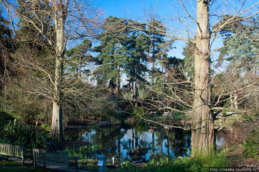 Кью Гарденс — Королевский Ботанический Сад. Кью-Гарденс, Великобритания