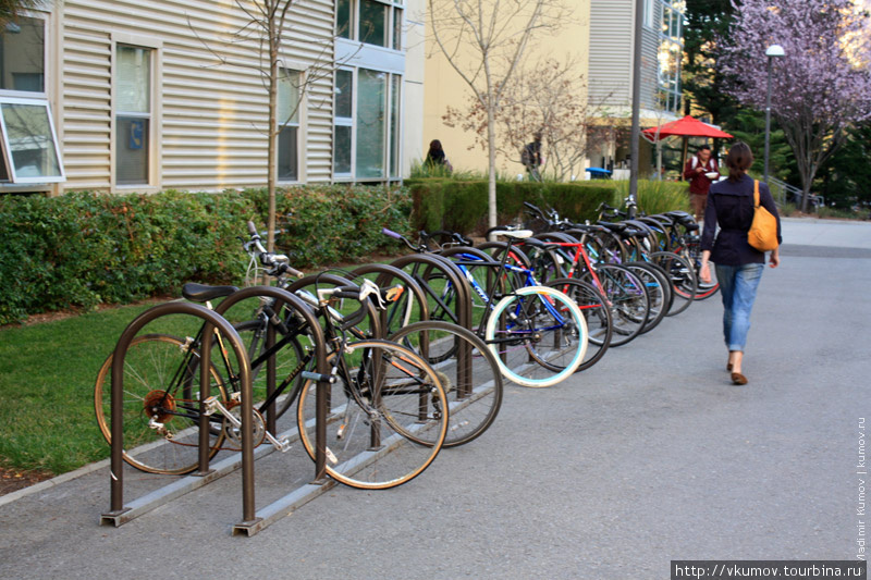 Велопарковка около университета. Ездить по территории кампуса запрещено, но до своих домов многие ездят на велосипедах. Сан-Франциско, CША