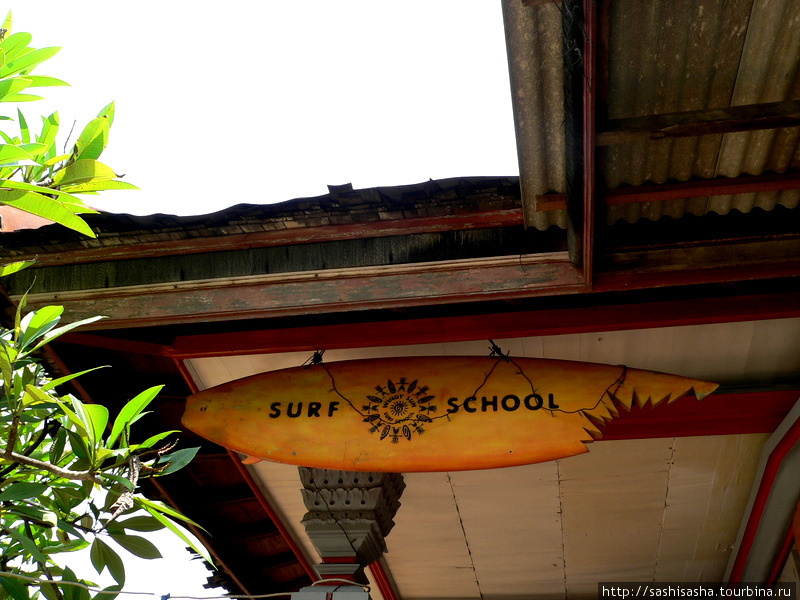 Школа серфинга Ветреное солнце / Surf school Windy Sun