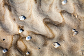 Узоры под ногами — кофе с молоком — песок со снегом.