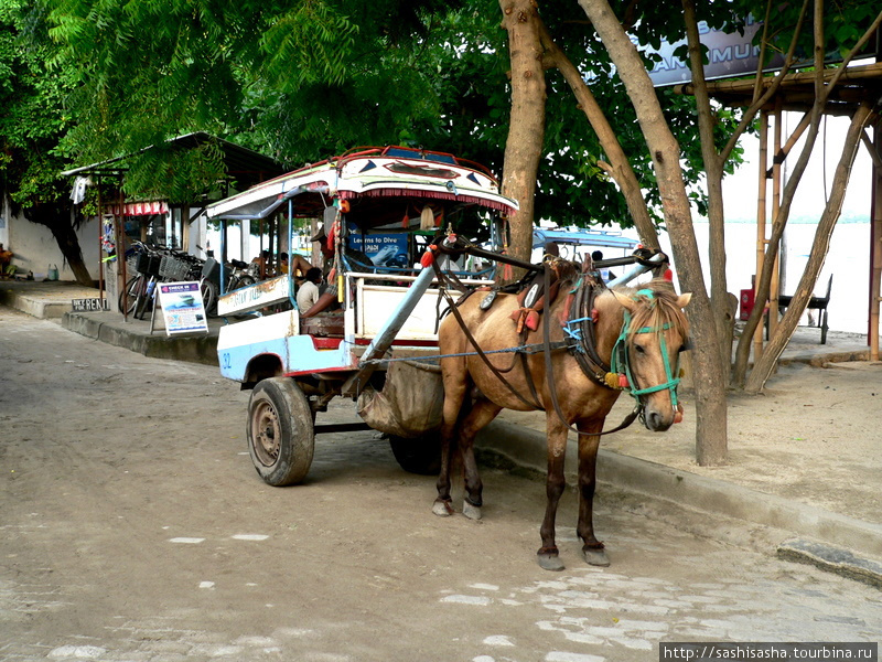 Прокатиться на лошадке вокруг острова Остров Гили-Траванган, Индонезия