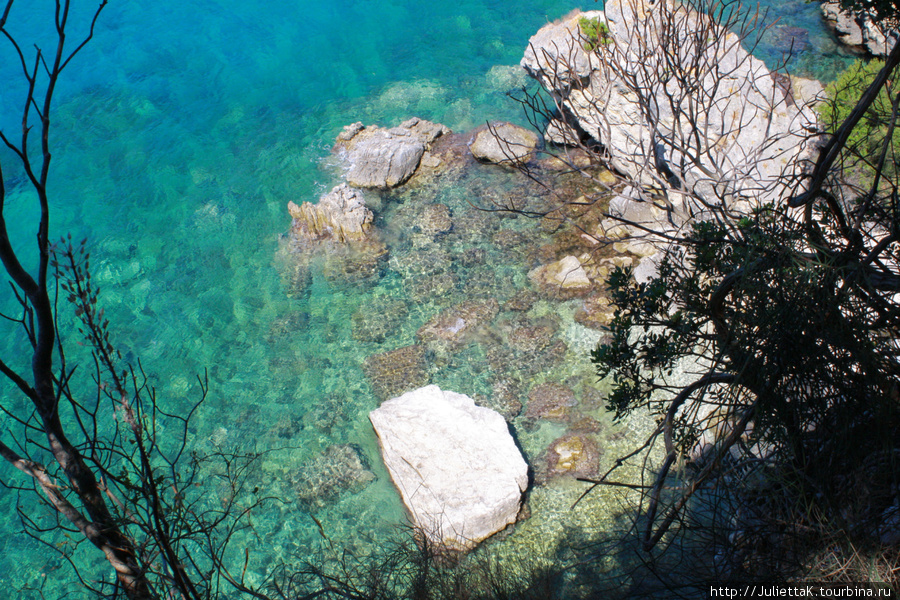 Луч солнца в бокале воды... Палеокастрица, остров Корфу, Греция