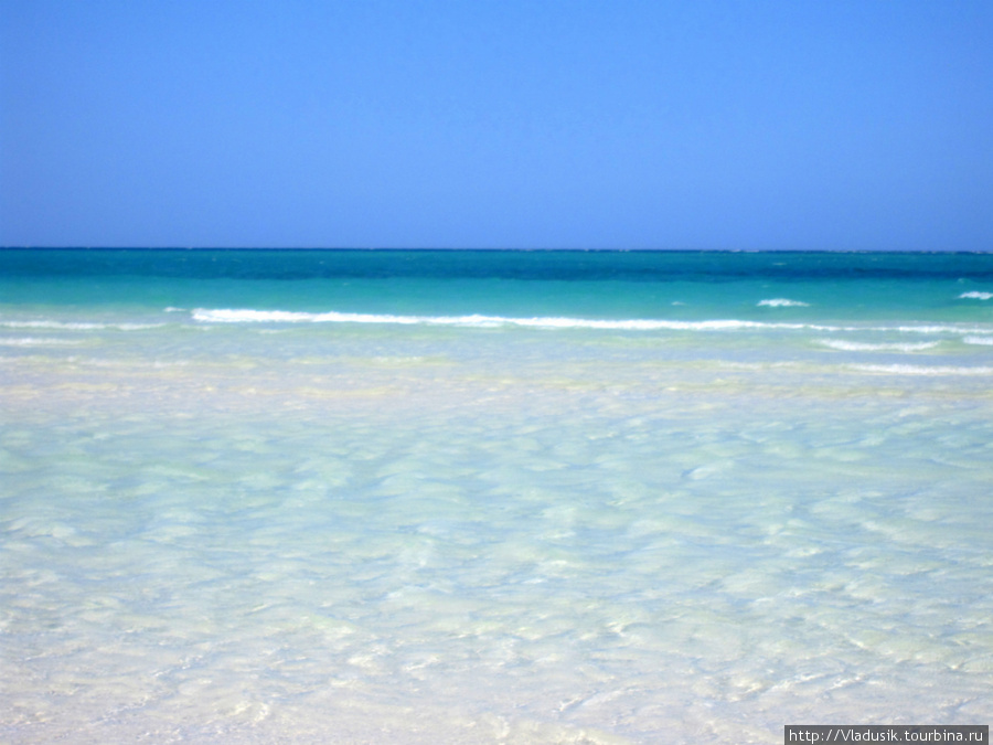 Здесь мелкие пляжи. Чтобы искупаться надо идти очень далеко в холодной воде :) Остров Кайо-Гильермо, Куба