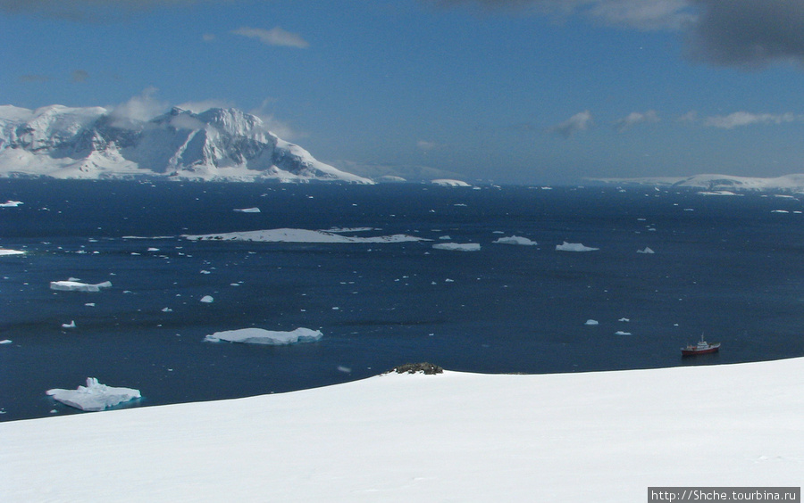 с вершины увидели наш корабль Остров Кавервиль, Антарктида