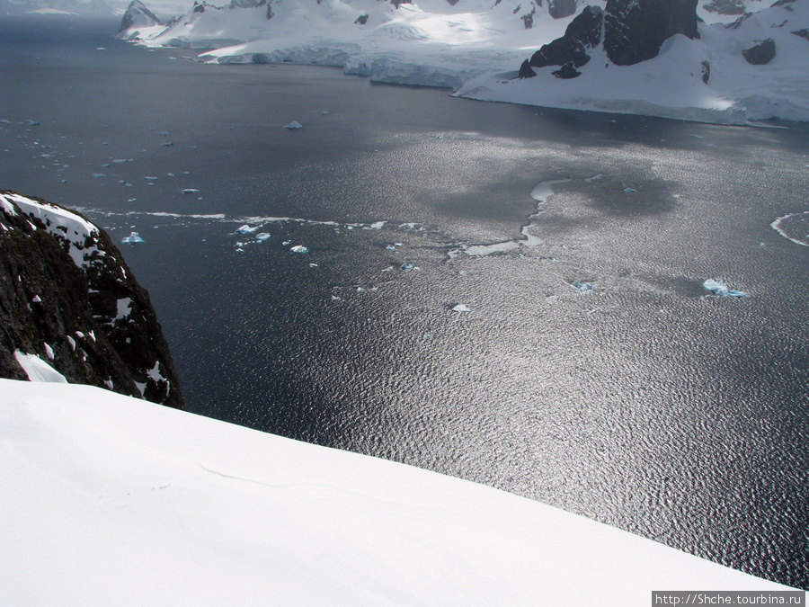 Антарктида  с высоты птичьего полета.  Какого же цвета вода? Остров Кавервиль, Антарктида