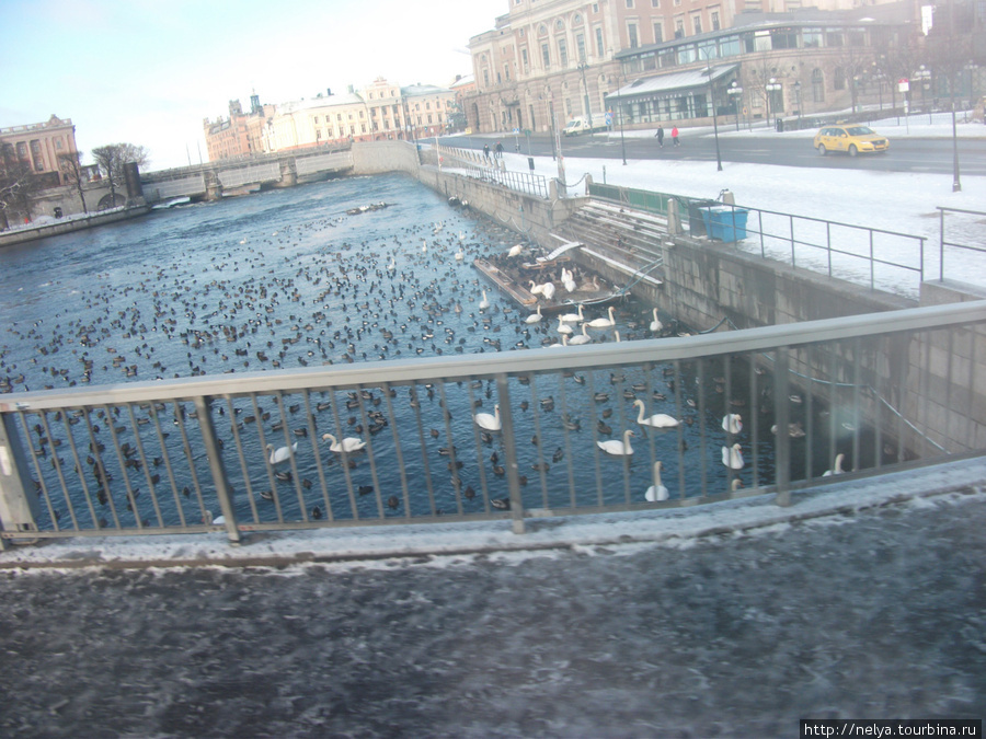Вот по тем дальним мостом и находится музей средневековья Стокгольм, Швеция