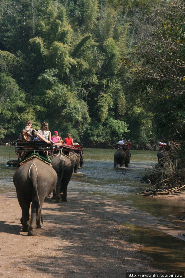 прогулка на слонах Канчанабури, Таиланд