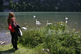 Следующая точка — крошечное озеро Вихель недалеко от Люцерна, с великолепными лебедями и утками.
