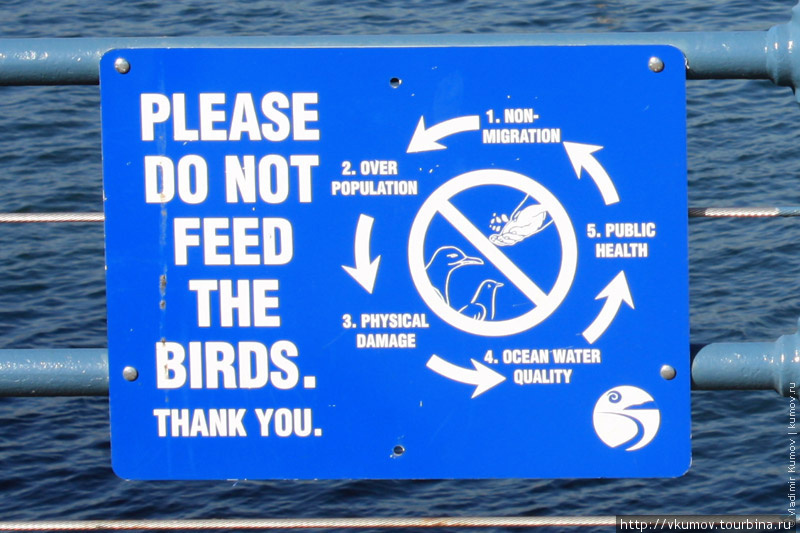 Причины почему кормить птиц нельзя.
Вольный перевод: птицы нажрутся, не захотят улетать, расплодятся, засрут вам весь океан, и будет всем плохо. Санта-Моника, CША