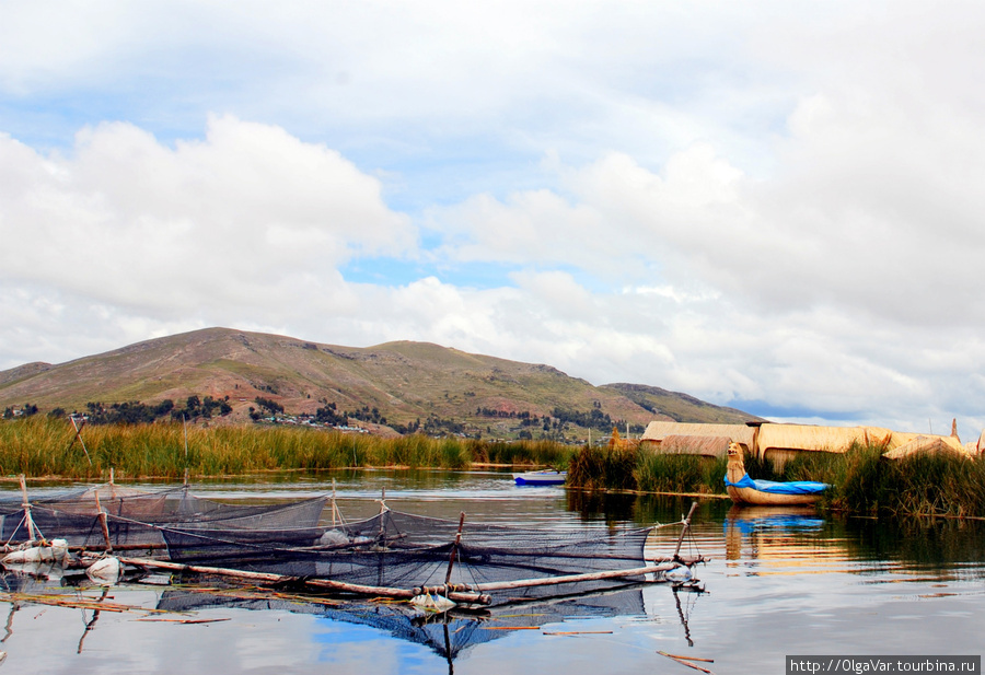 Маленькая рыбная ферма. Озеро Титикака, Перу