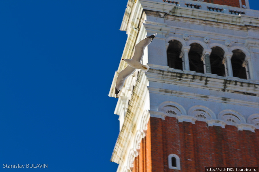 Часовая башня Венеция, Италия