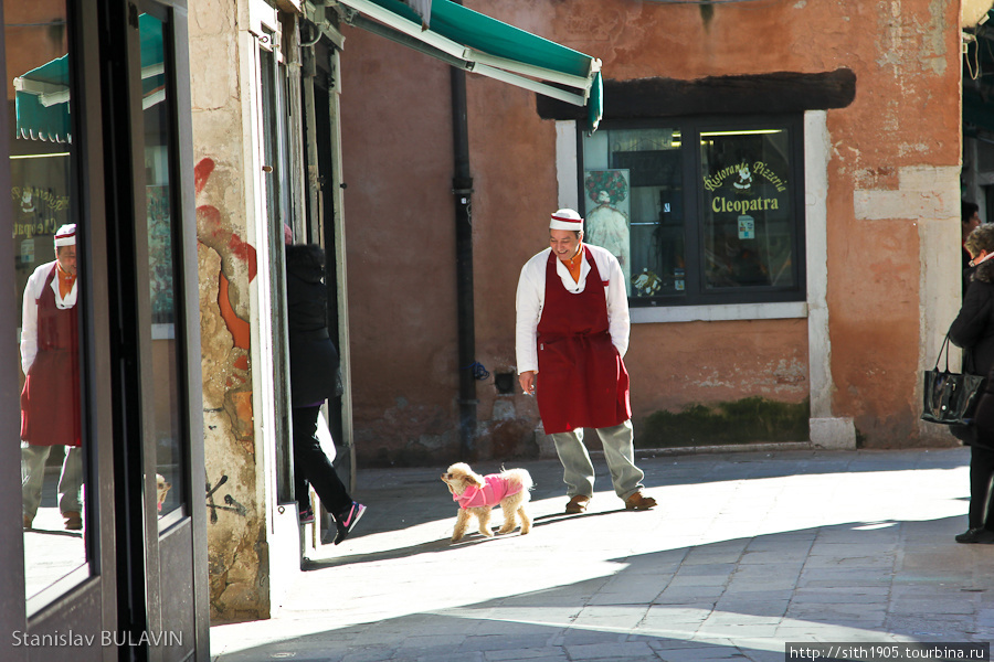 Еще немного собачьей моды (эта собака привлекла нас и мы не свернули в переулок, поэтому попали в замечательный ресторанчик Клеопатра — на заднем фоне) Венеция, Италия