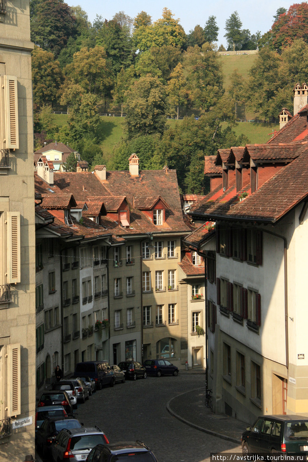 Город и его живой символ Берн, Швейцария
